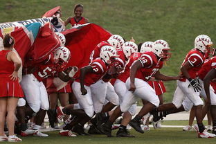 jiuyou入口-青少年体育社团快速发展 激发校园活力，体育社团开展