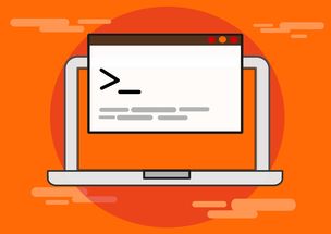 九游体育娱乐-青少年比赛引入技术监测系统保障公平，2020年青少年比赛