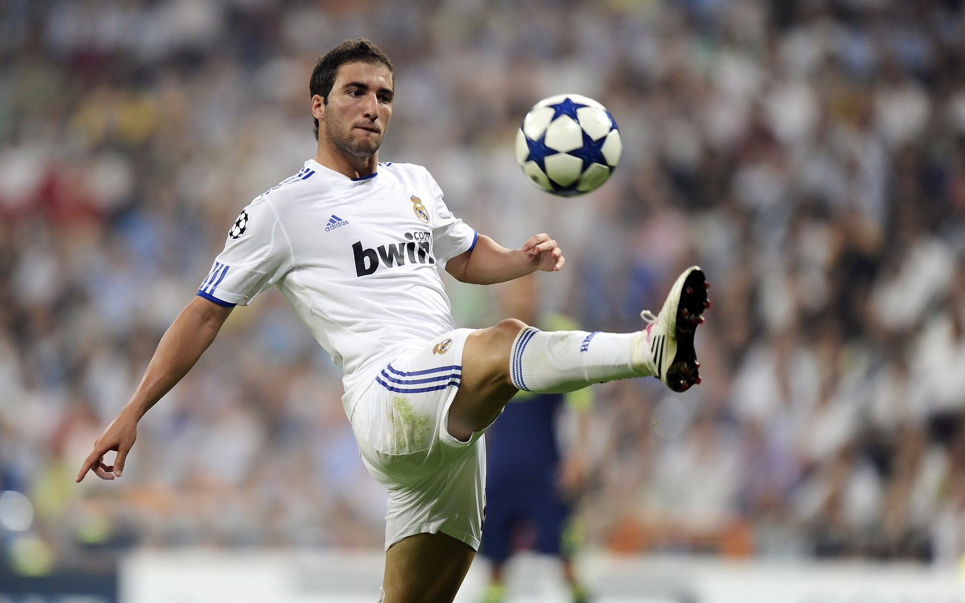 南非羚羊队:稳固防线与精准进攻,成为其他球队难以逾越的巅峰